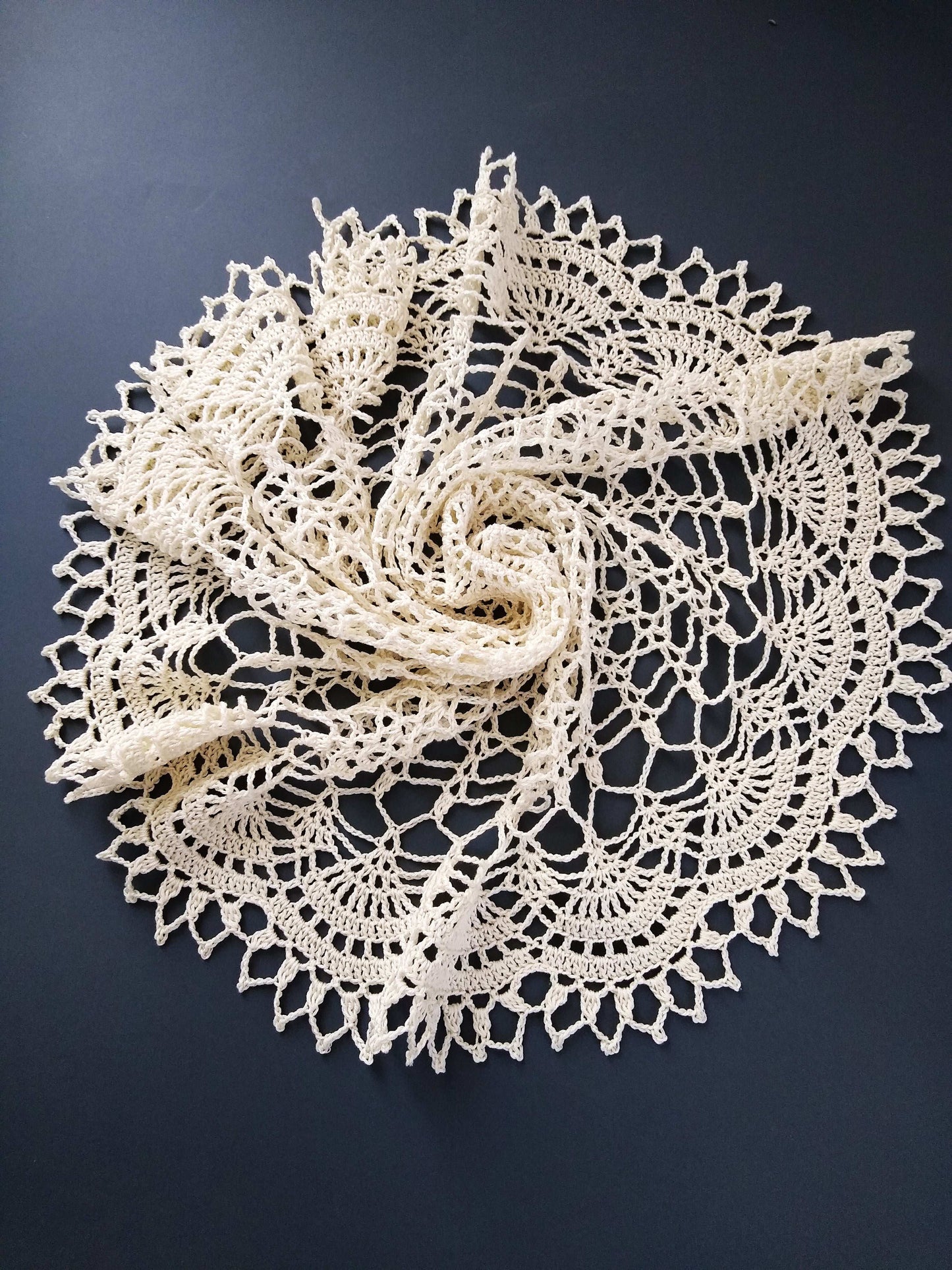 🕸️ N°105 Crochet Doily