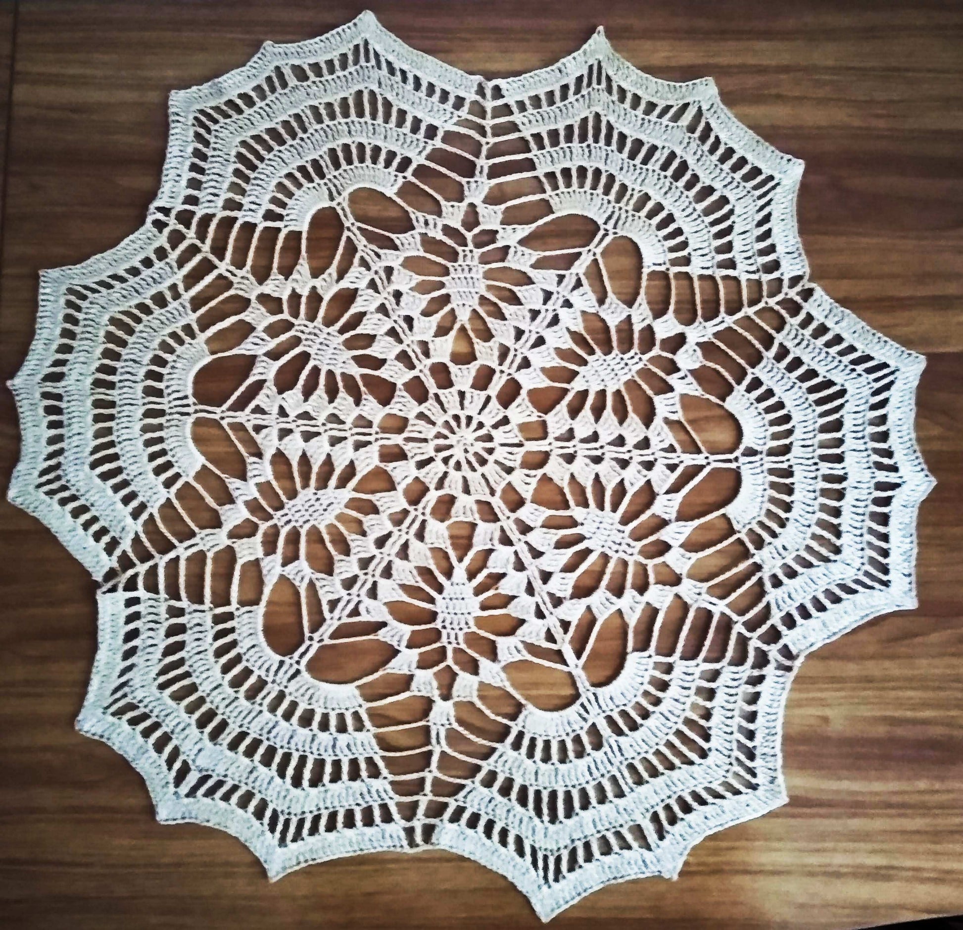 🕸️ N°49 Crochet Doily