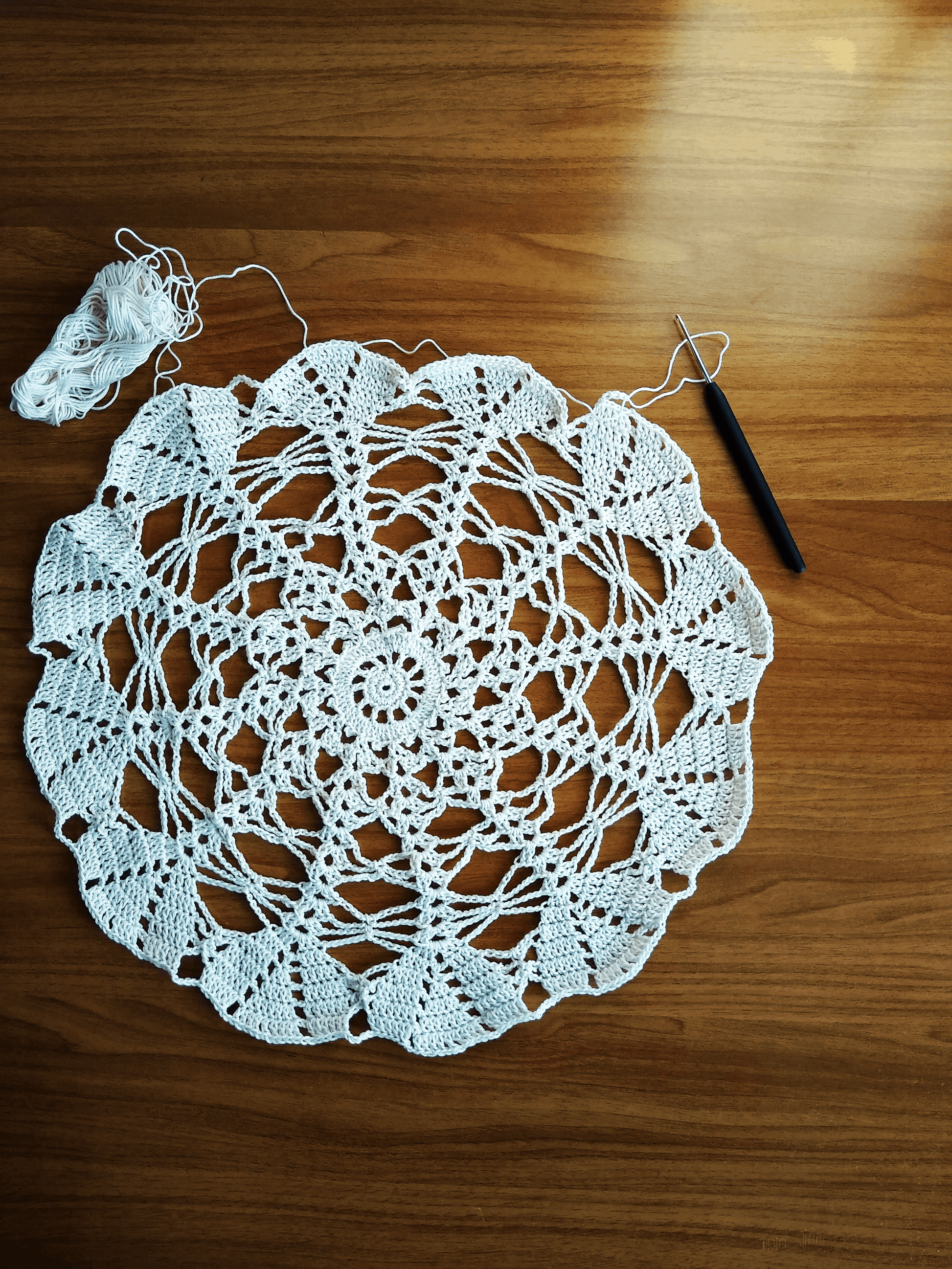 🍽️ N°24 Crochet Doily - DecorWithTaste